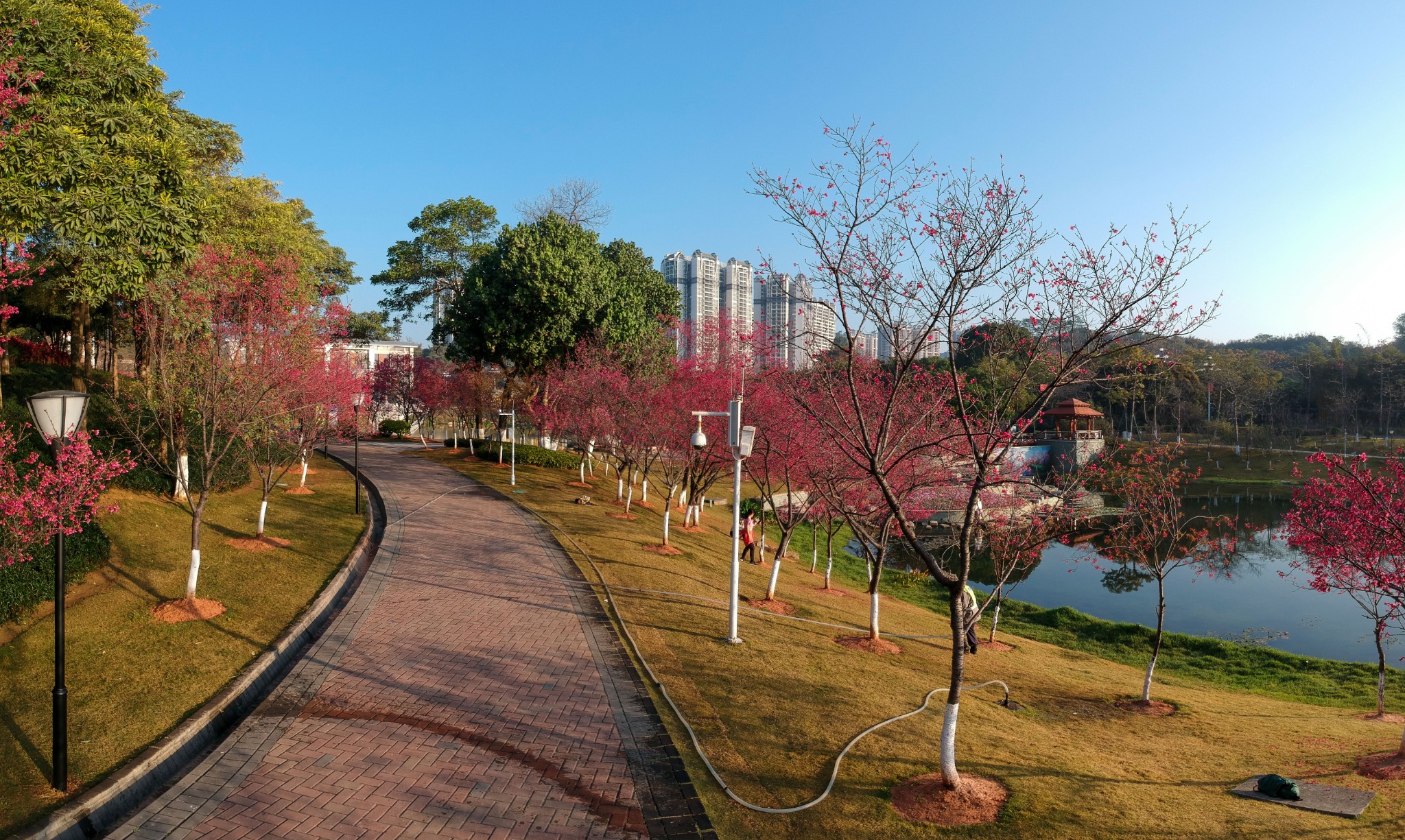 廣州創業公園和市民公園(市民廣場),廣州自助遊攻略 - 馬蜂窩