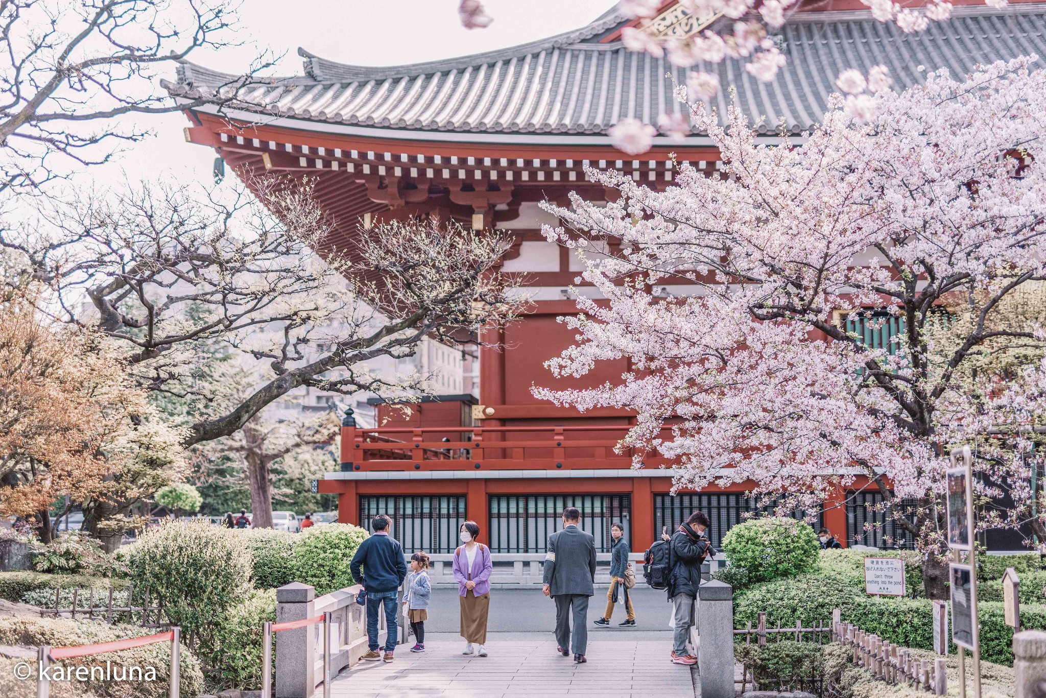 東京自助遊攻略