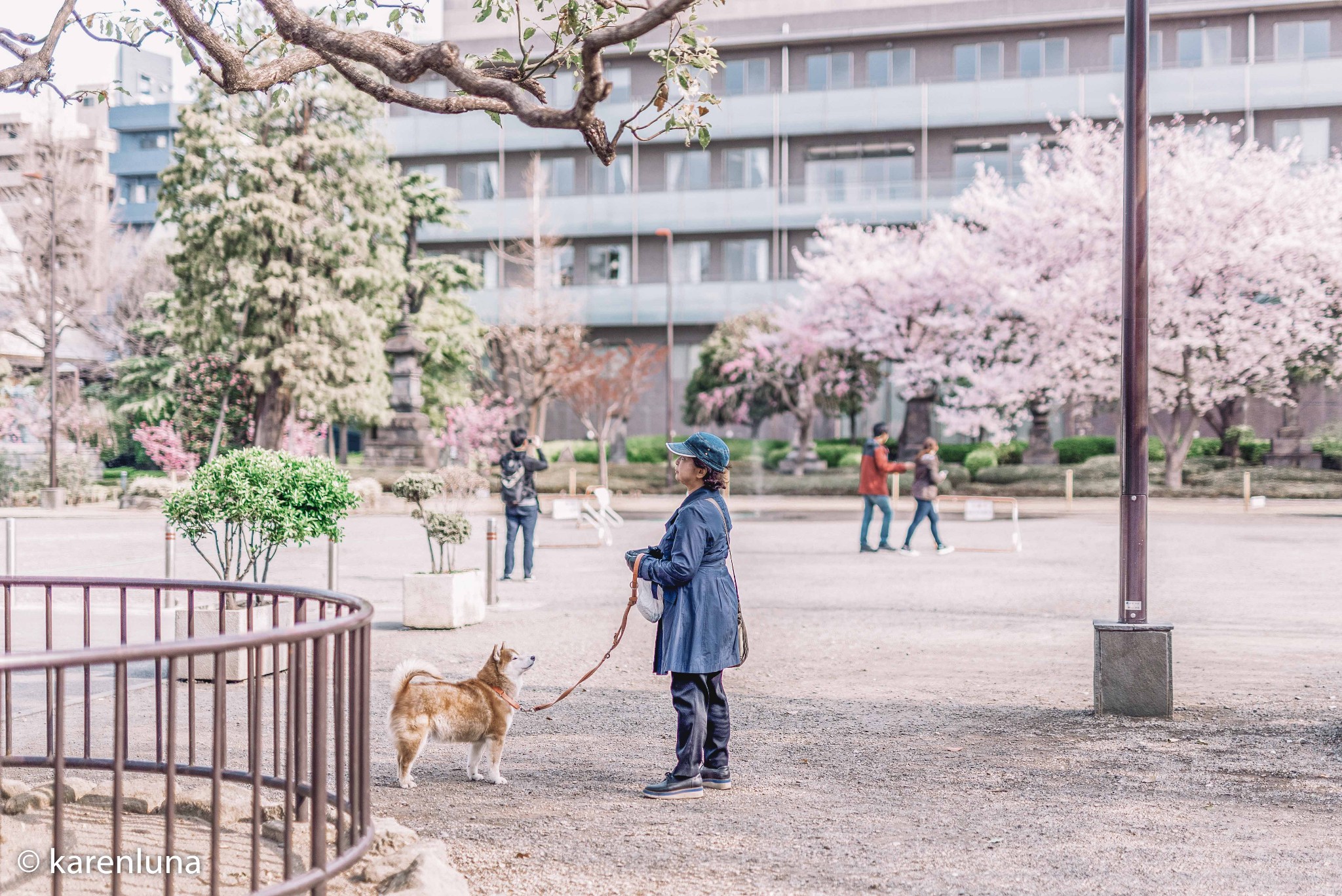 東京自助遊攻略