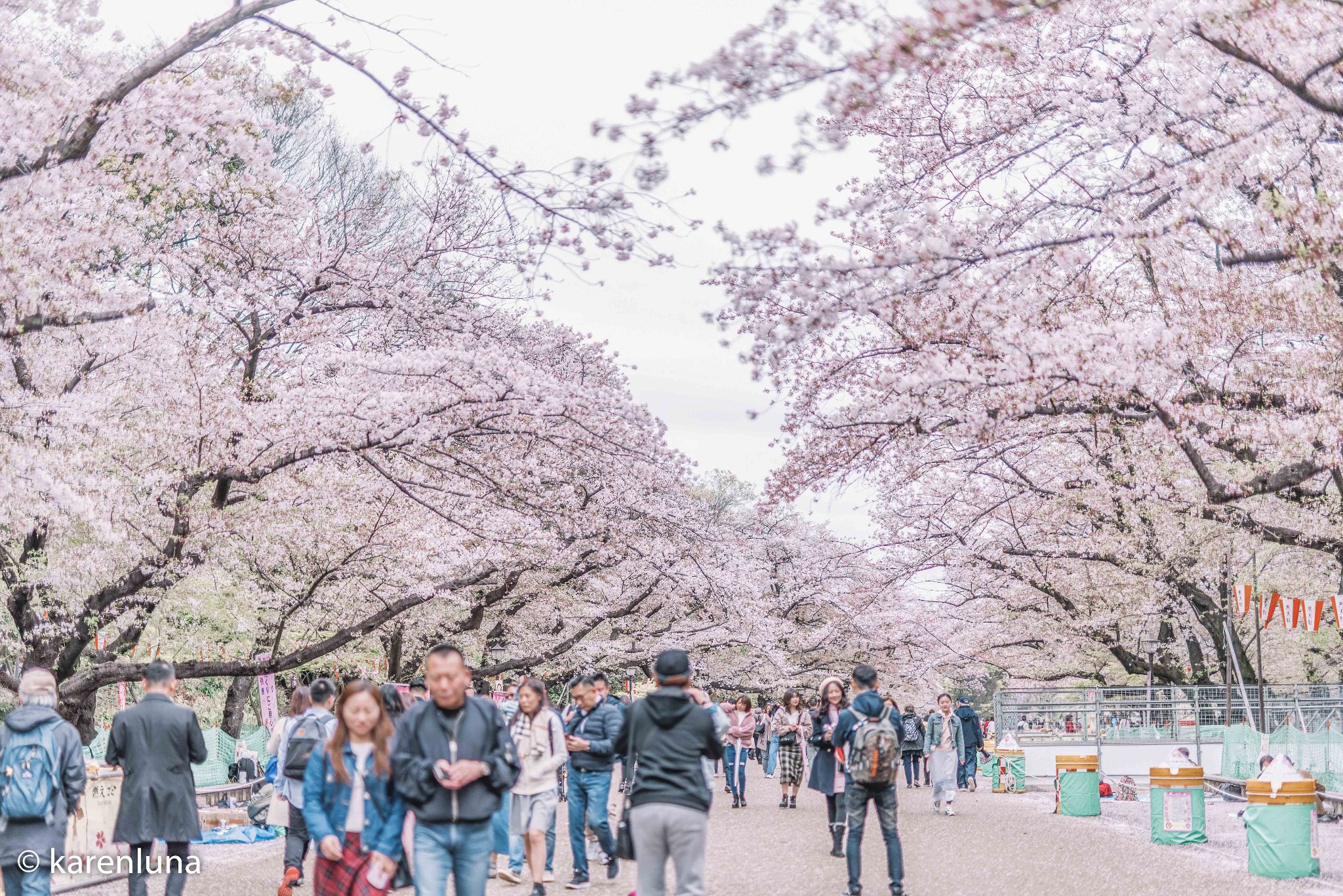 東京自助遊攻略