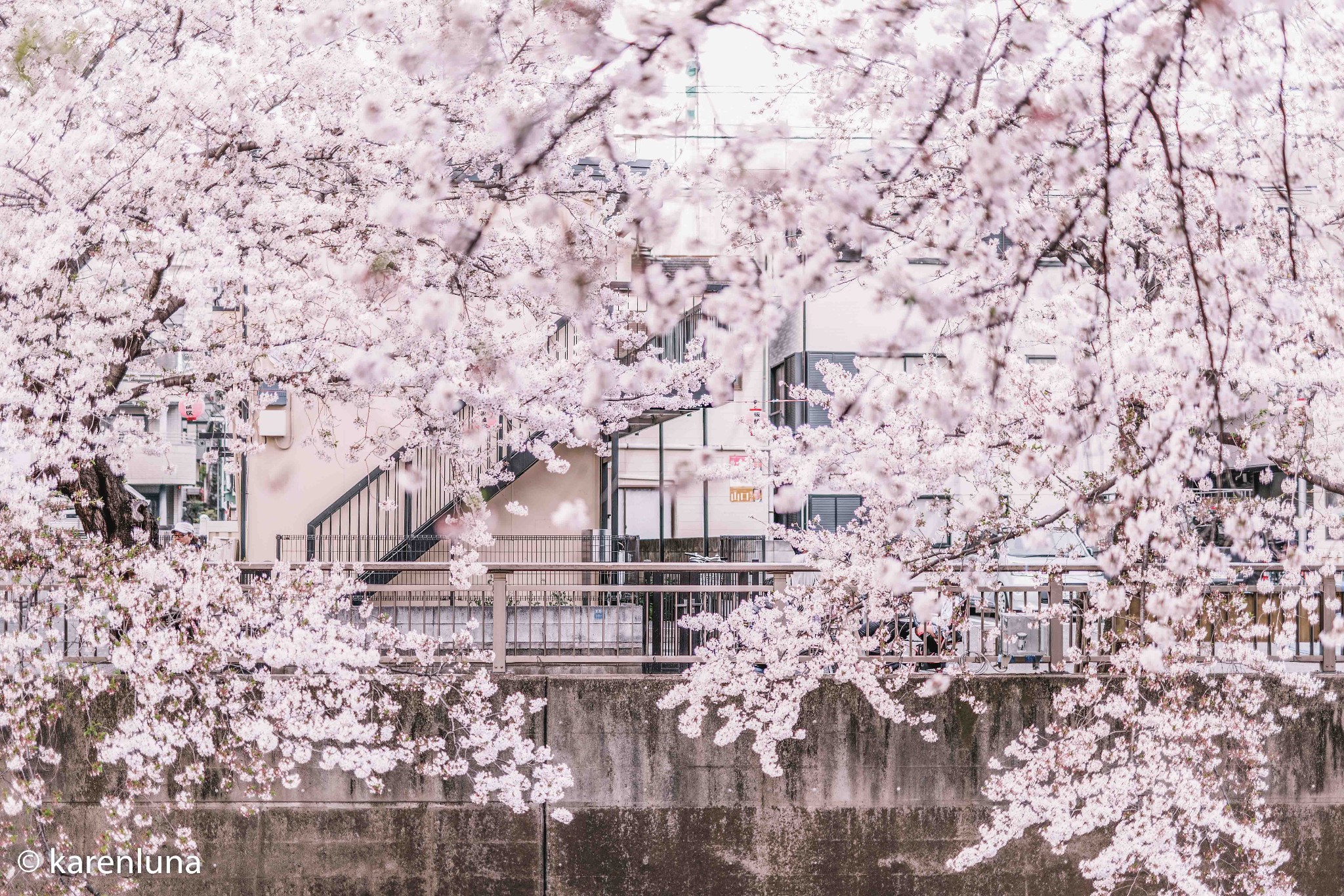 東京自助遊攻略