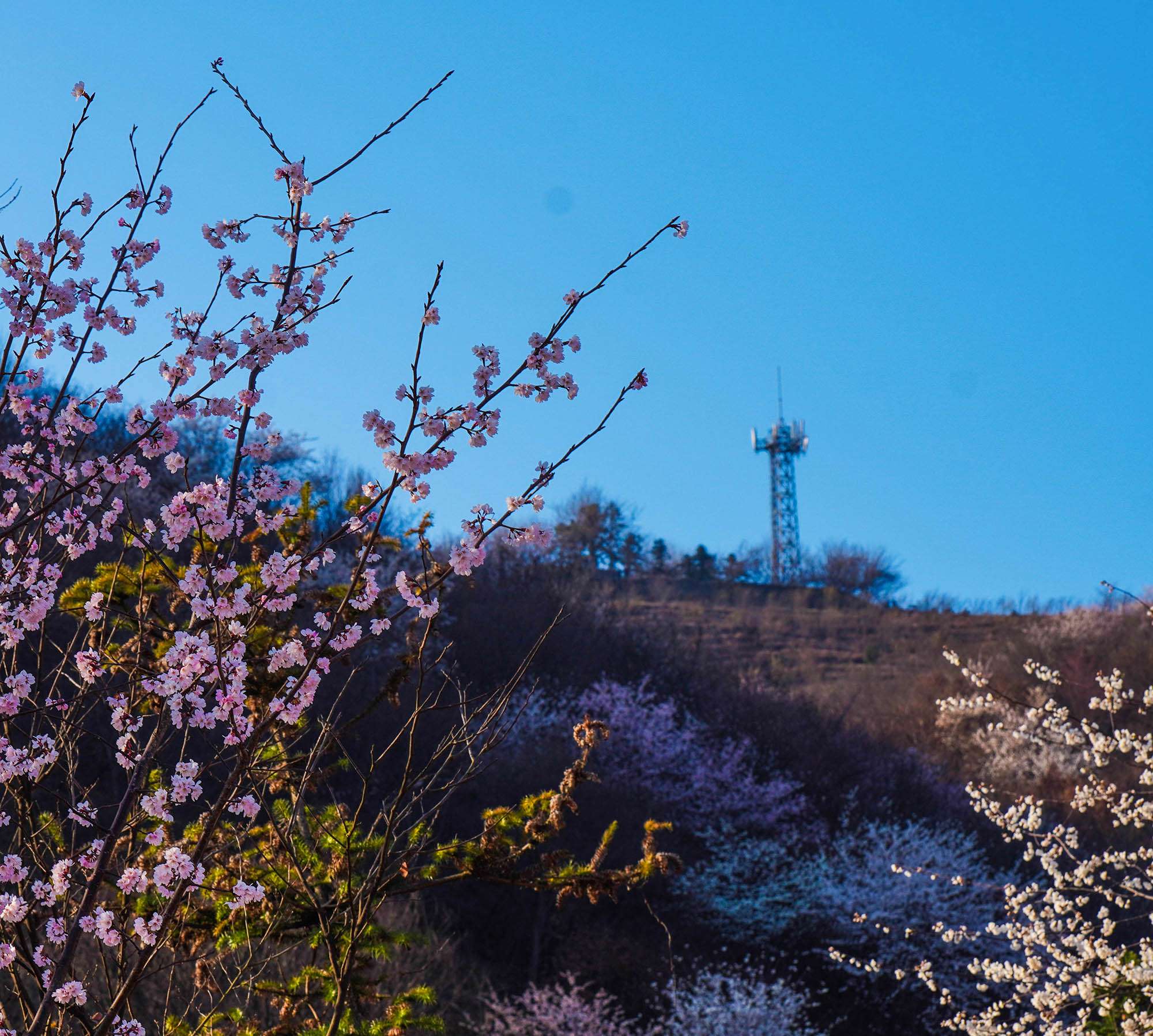 光山县热门游记,光山县自助游游记,光山县旅游热门游记 - 马蜂窝