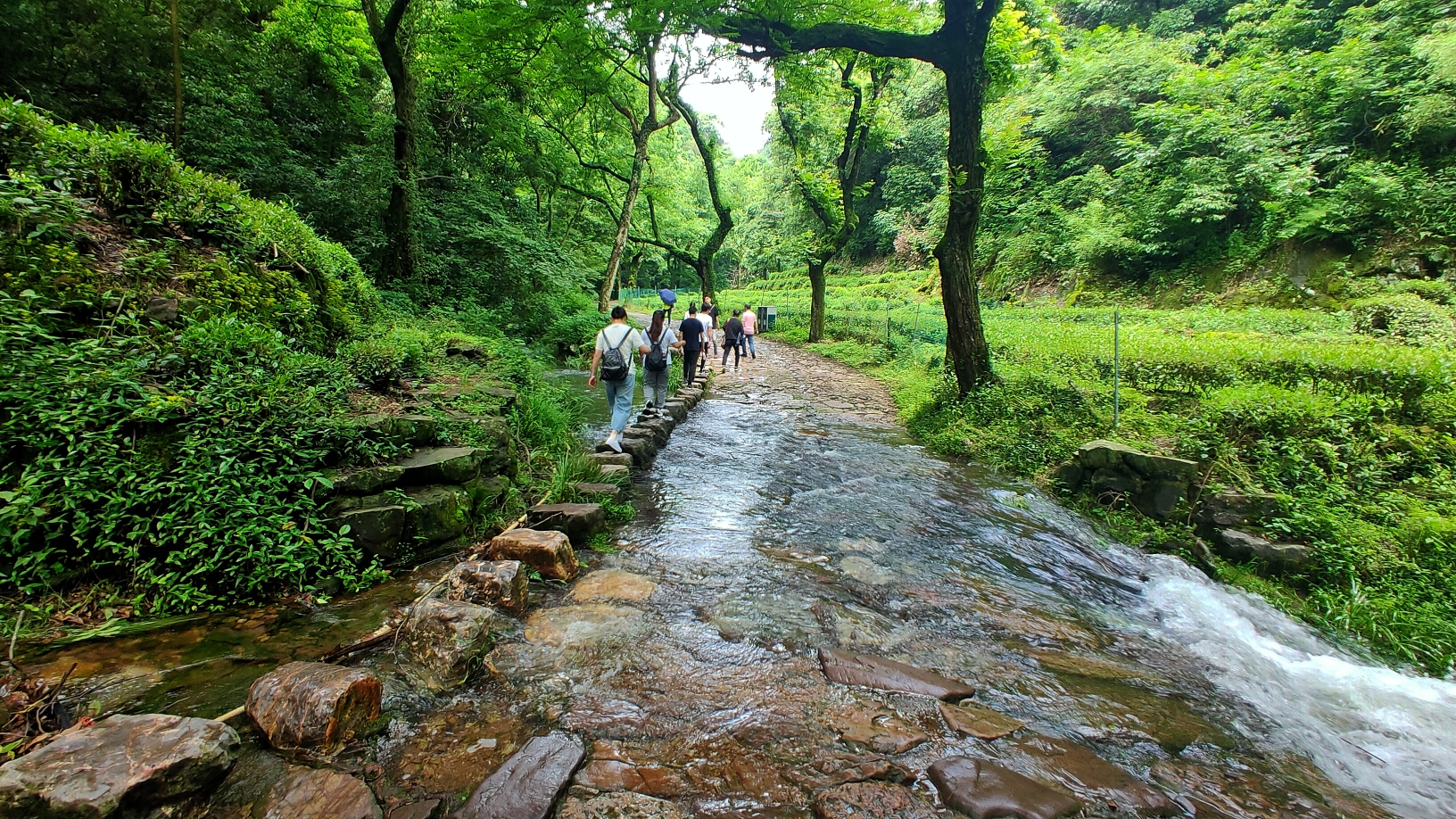 杭州九溪村图片