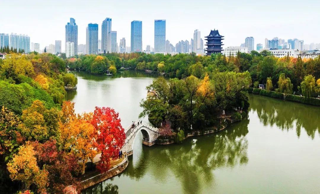 春游江淮请您来 | 合肥文旅图片库作品展(二)