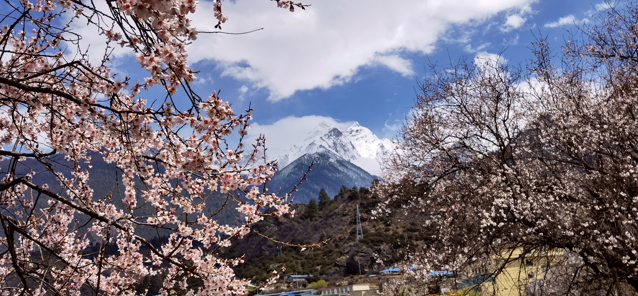 林芝自助遊攻略