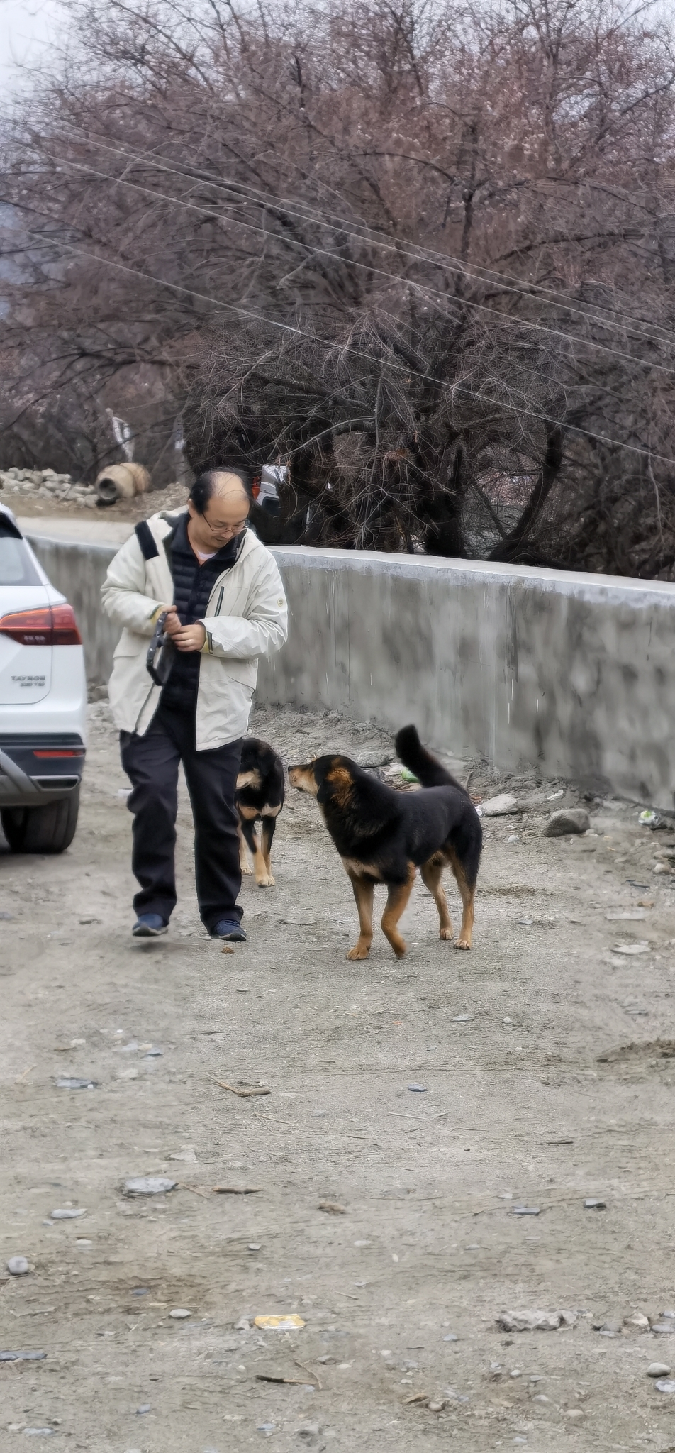 林芝自助遊攻略