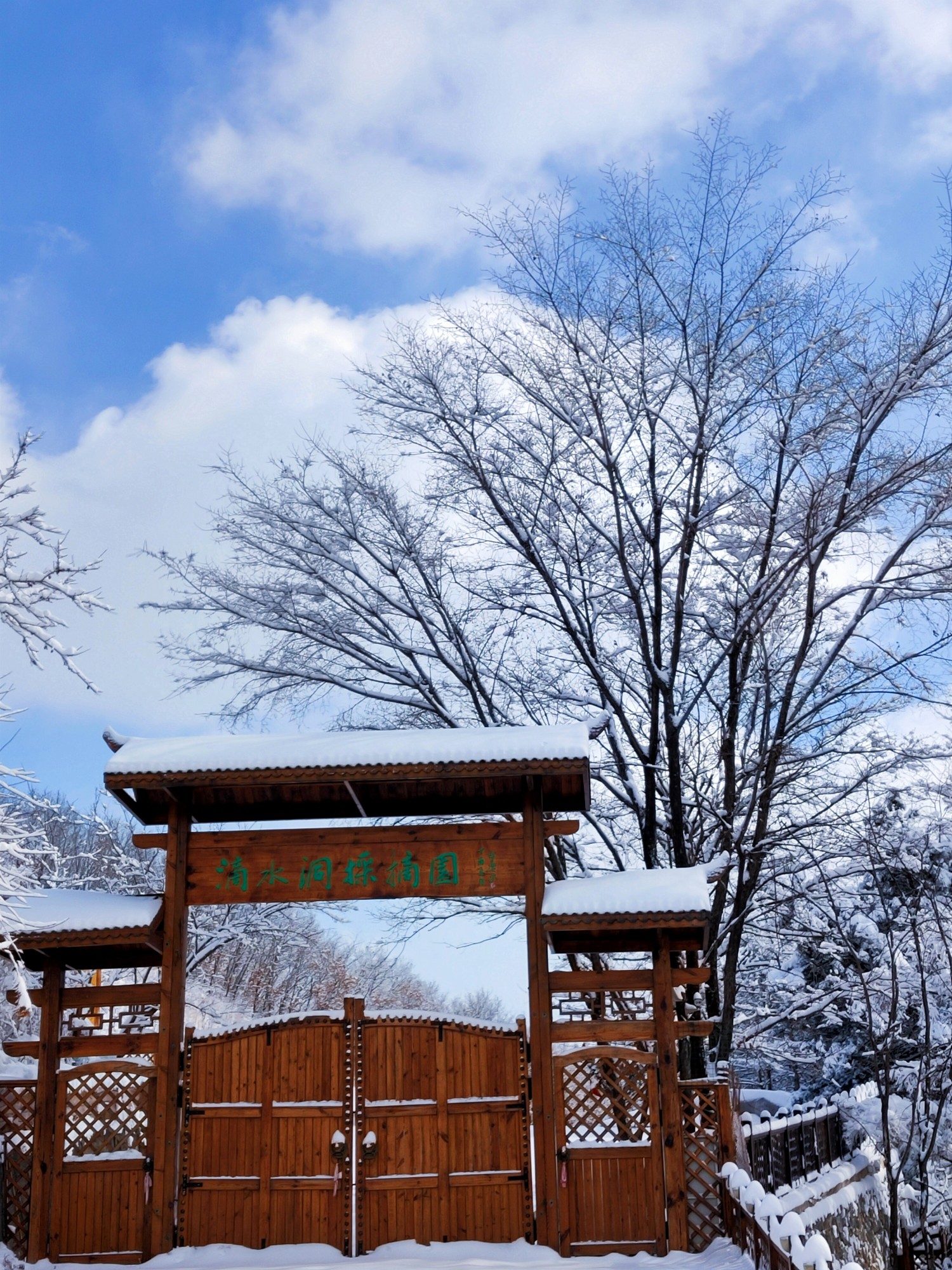 玉樹瓊花雪作詩——春節本溪老母嶺,滴水洞,四方臺環穿一日遊,本溪