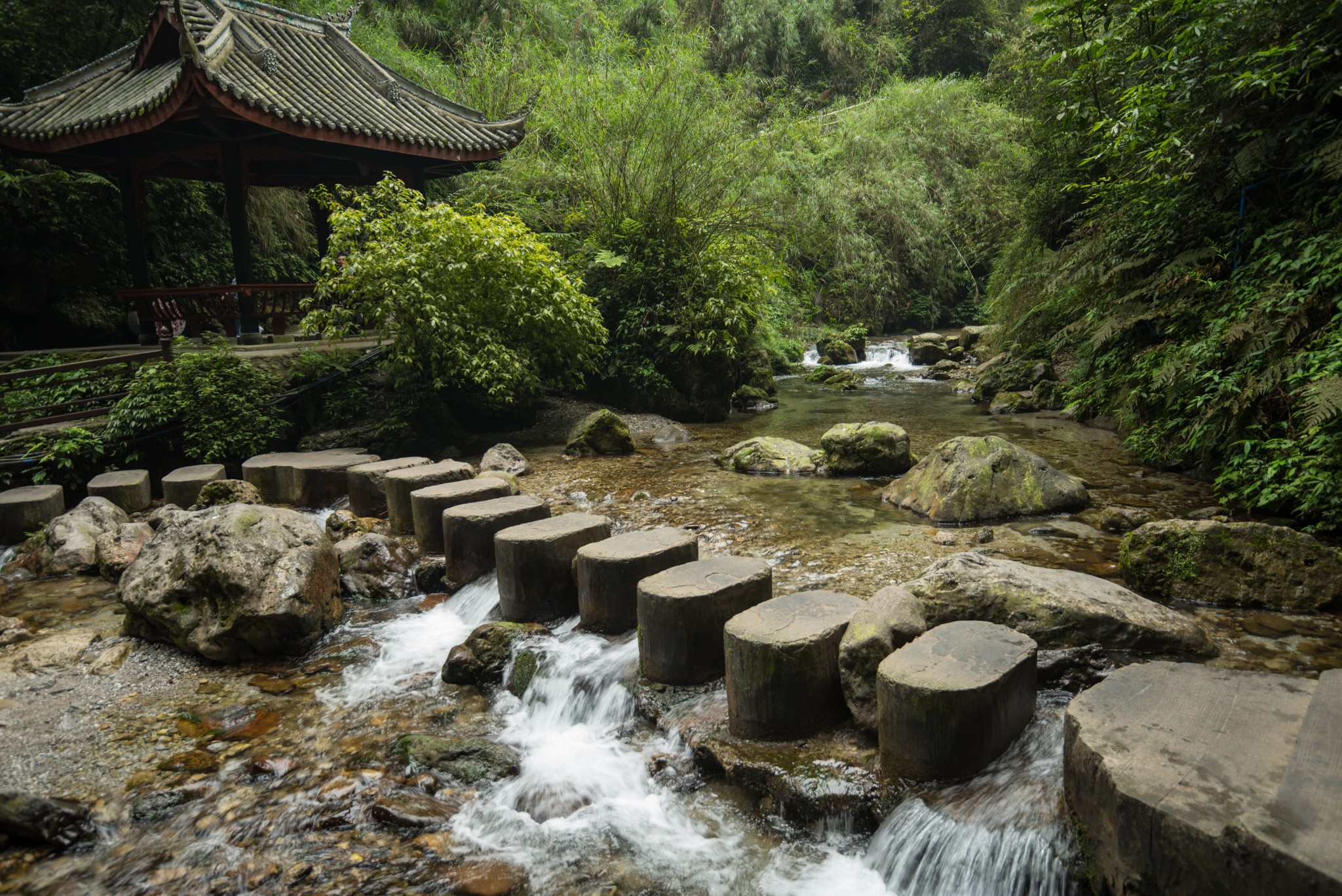 退休夫妻單車自駕西藏之七:峨眉山_遊記