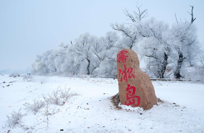 长白岛湿地公园旅游图片,长白岛湿地公园自助游图片,长白岛湿地公园