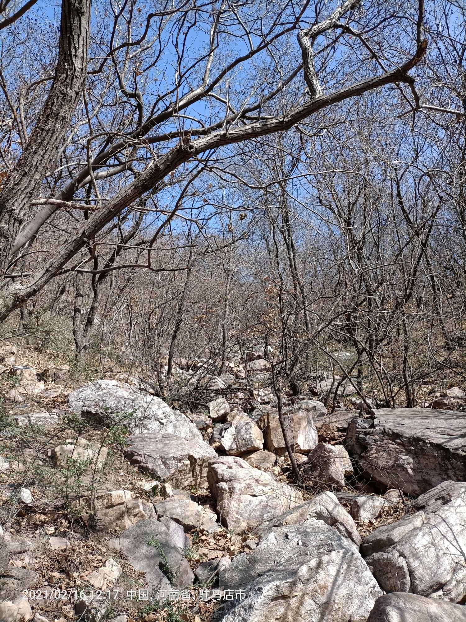 河南遂平凤鸣谷