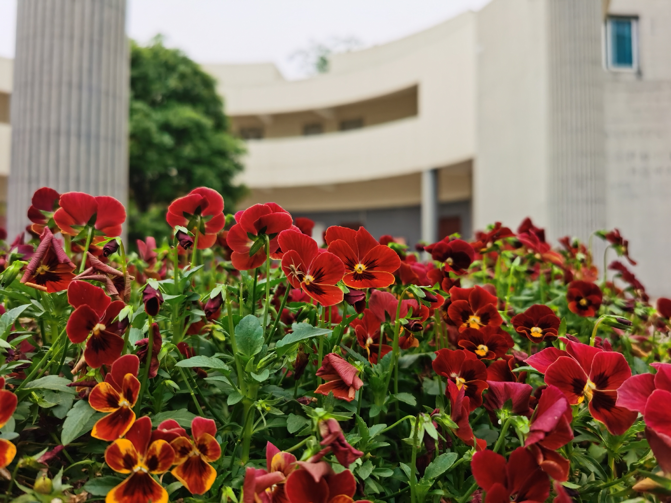 泡泡吧咖啡厅(审计大学店)