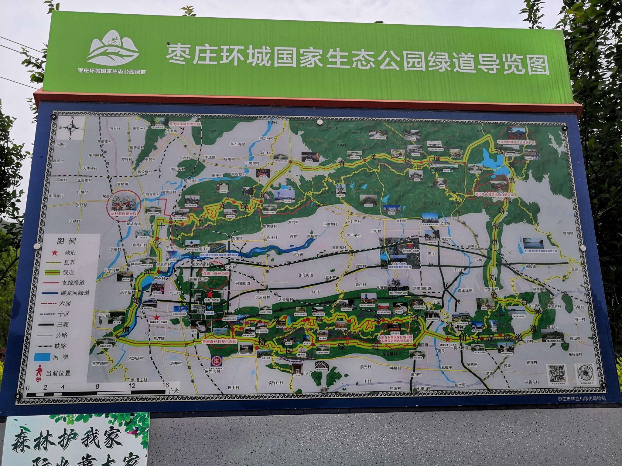 枣庄凤凰绿道图片