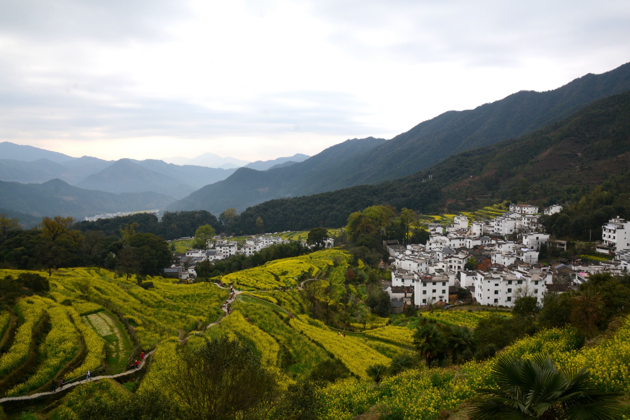 74叟江西安徽游记一婺源的扫黄之旅
