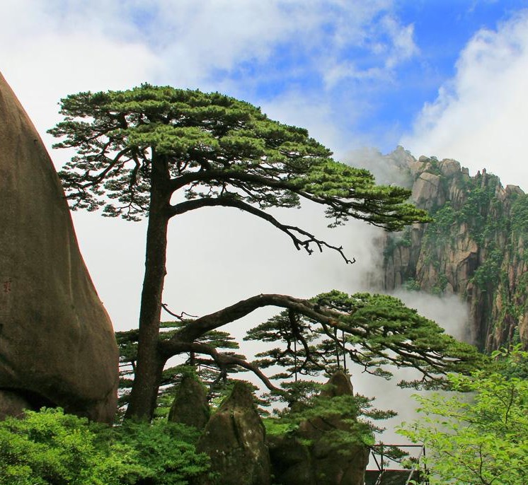 2020黄山市旅游景点排行：必游的旅游胜地