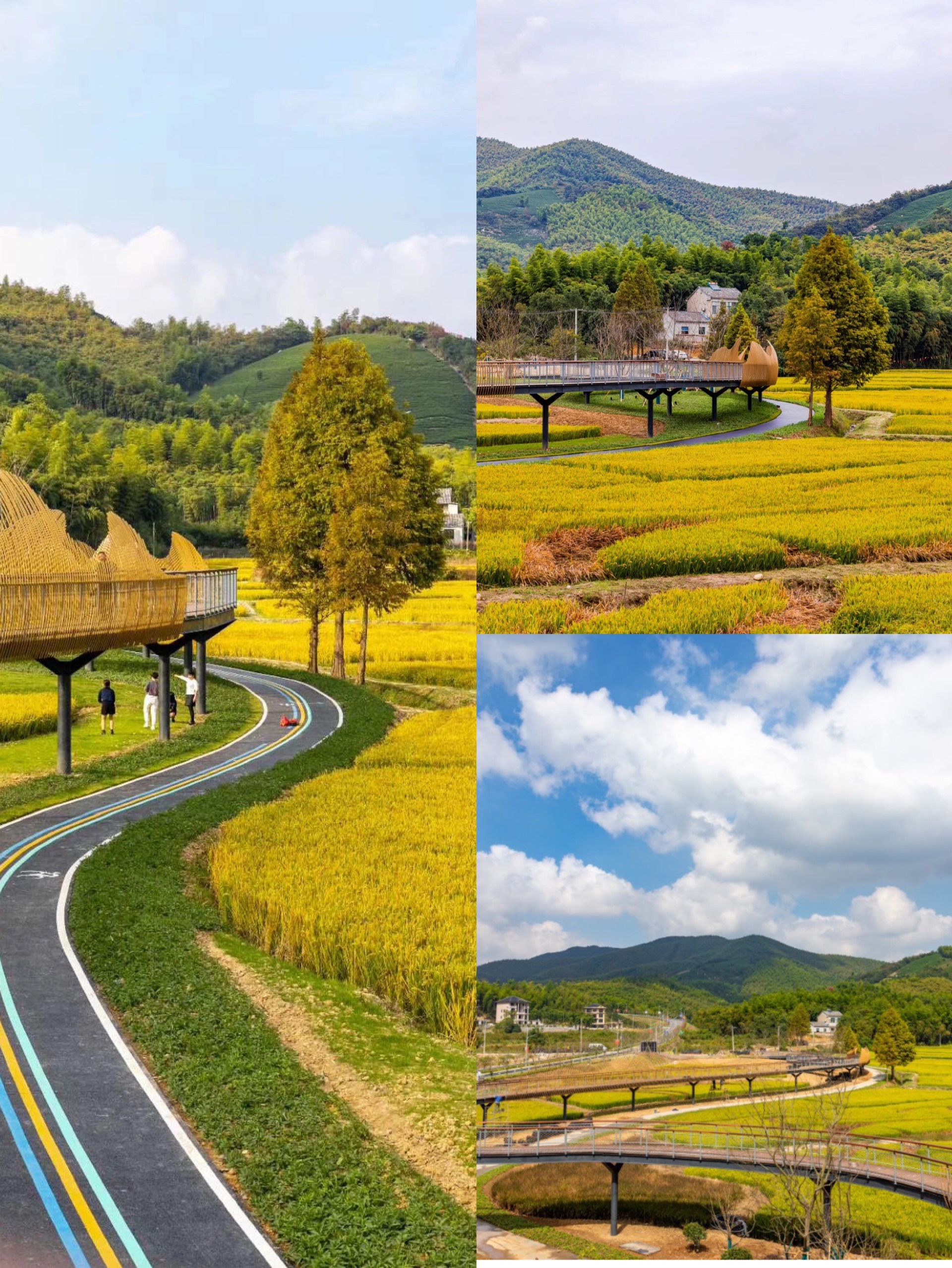 廿舍度假村的旅行笔记-马蜂窝