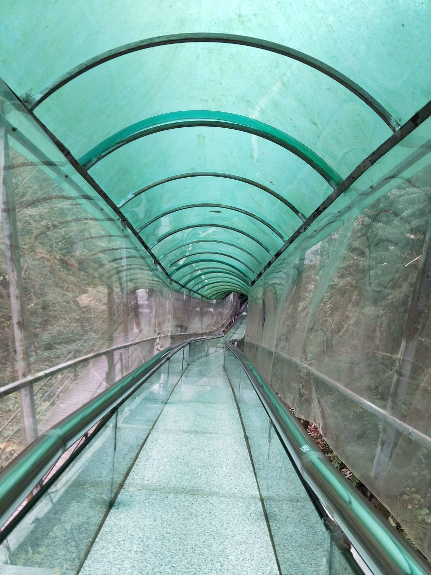 重庆巴南区迎龙峡