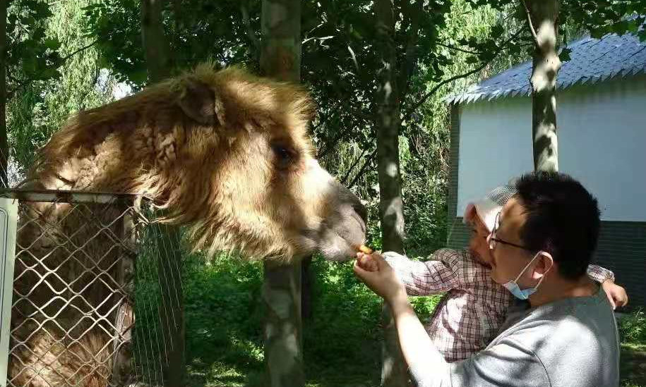 濟寧曲阜新鹿動物園一日電子票