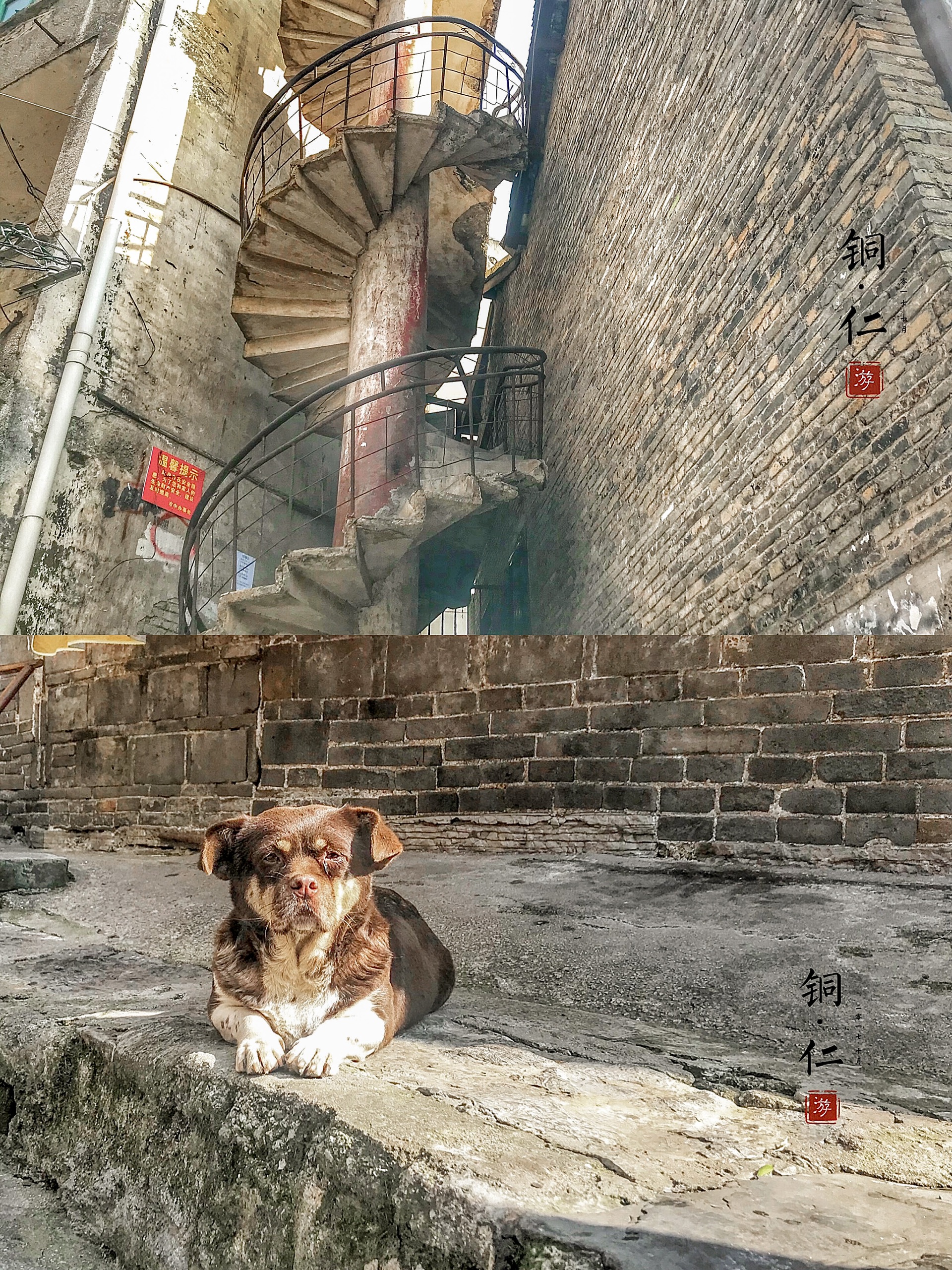 旅行图片