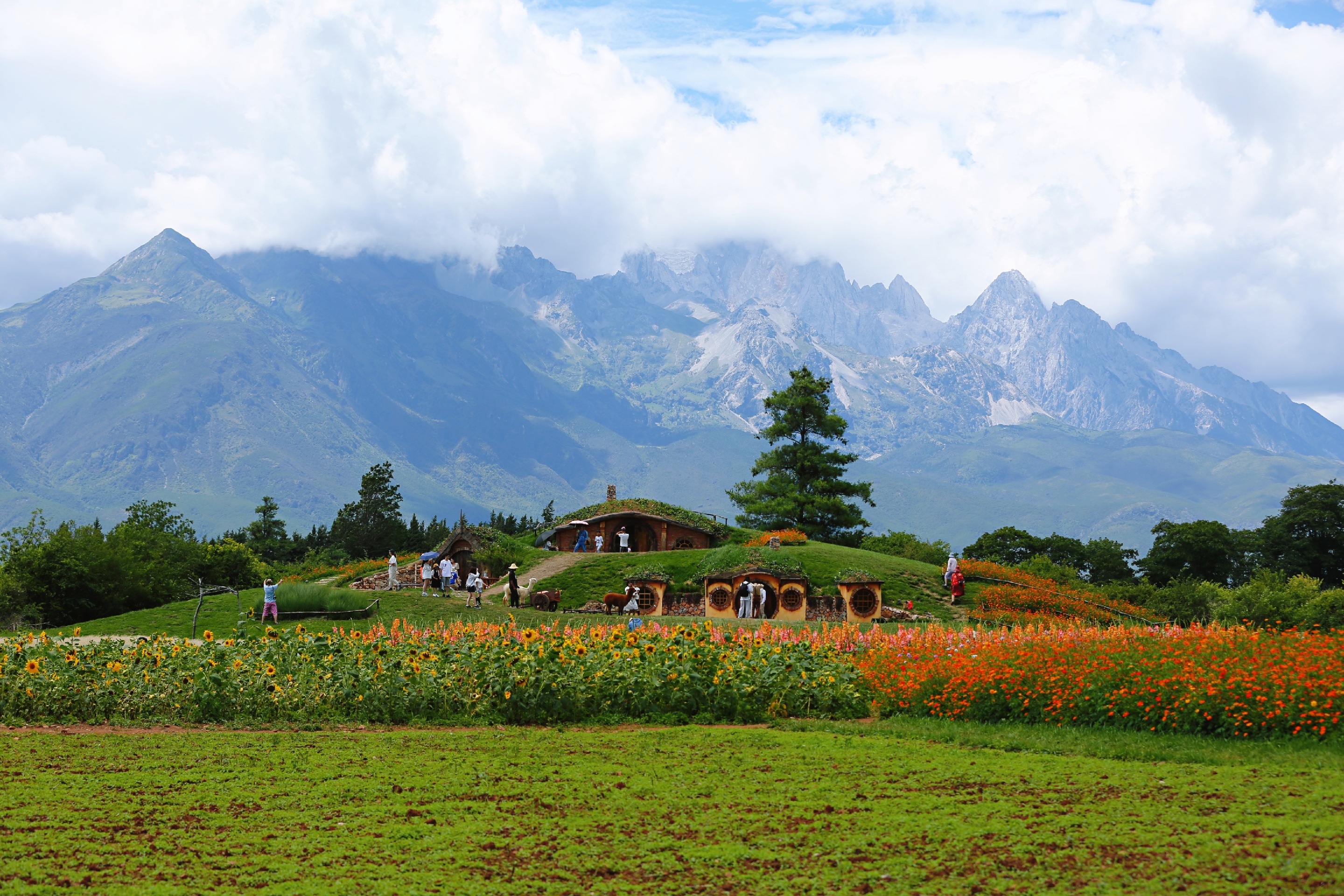 丽江听花谷攻略,听花谷门票_地址,听花谷游览攻略 - 马蜂窝