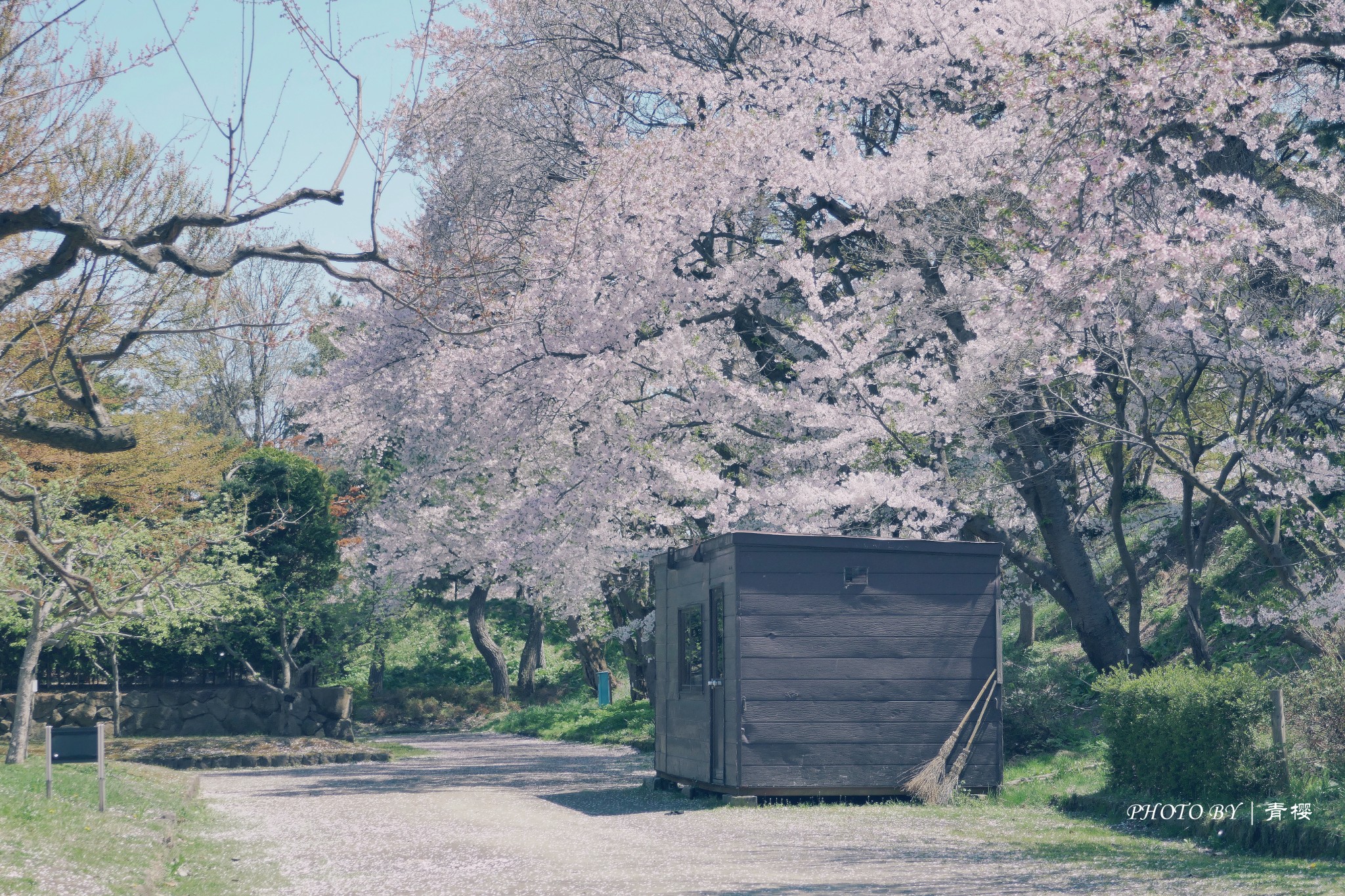 日本自助遊攻略