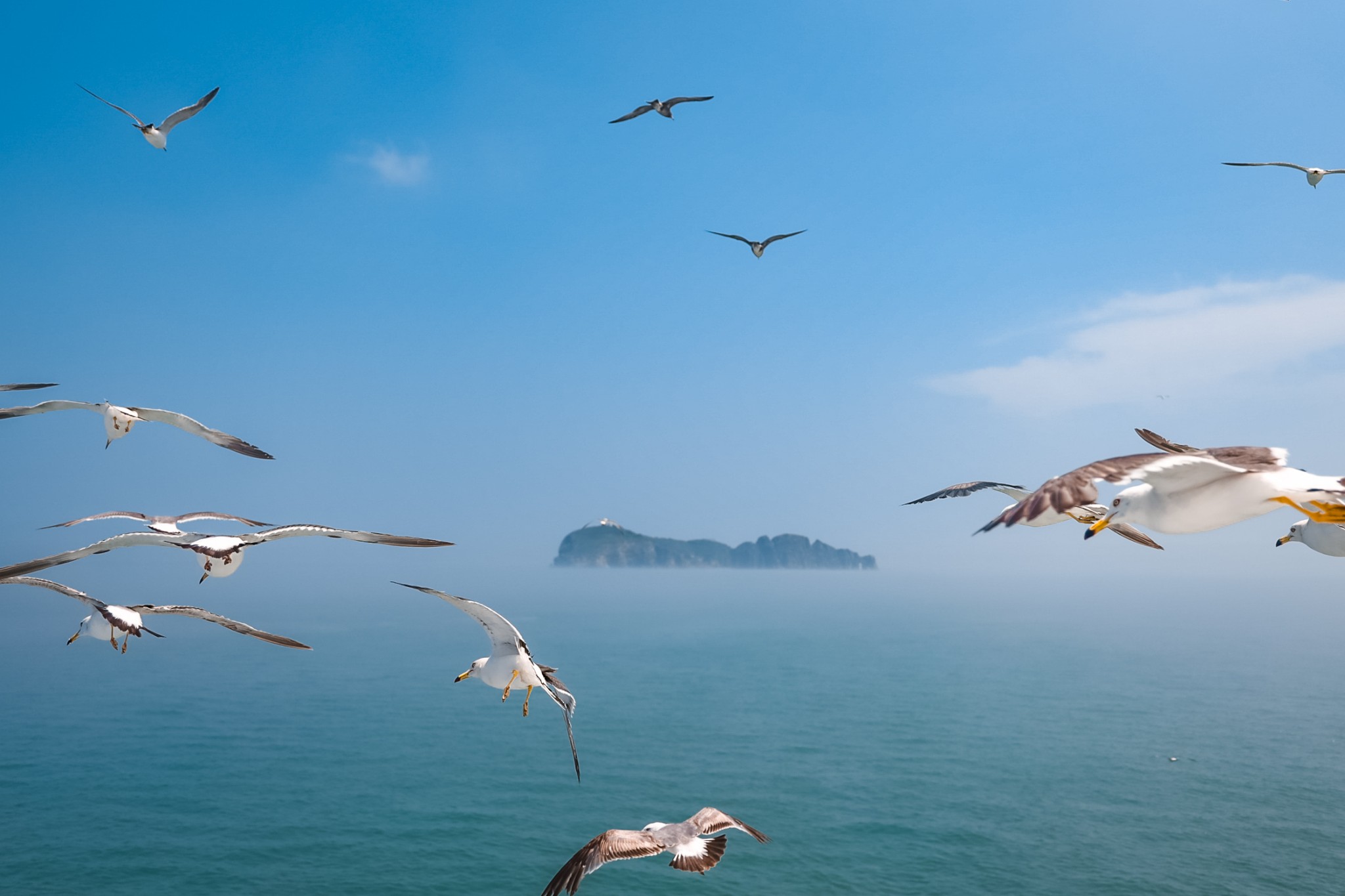 来威海西霞口看大海