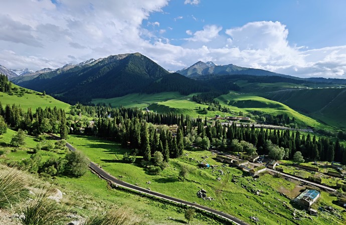 琼库什台紫花坡旅游图片,琼库什台紫花坡自助游图片,琼库什台紫花坡