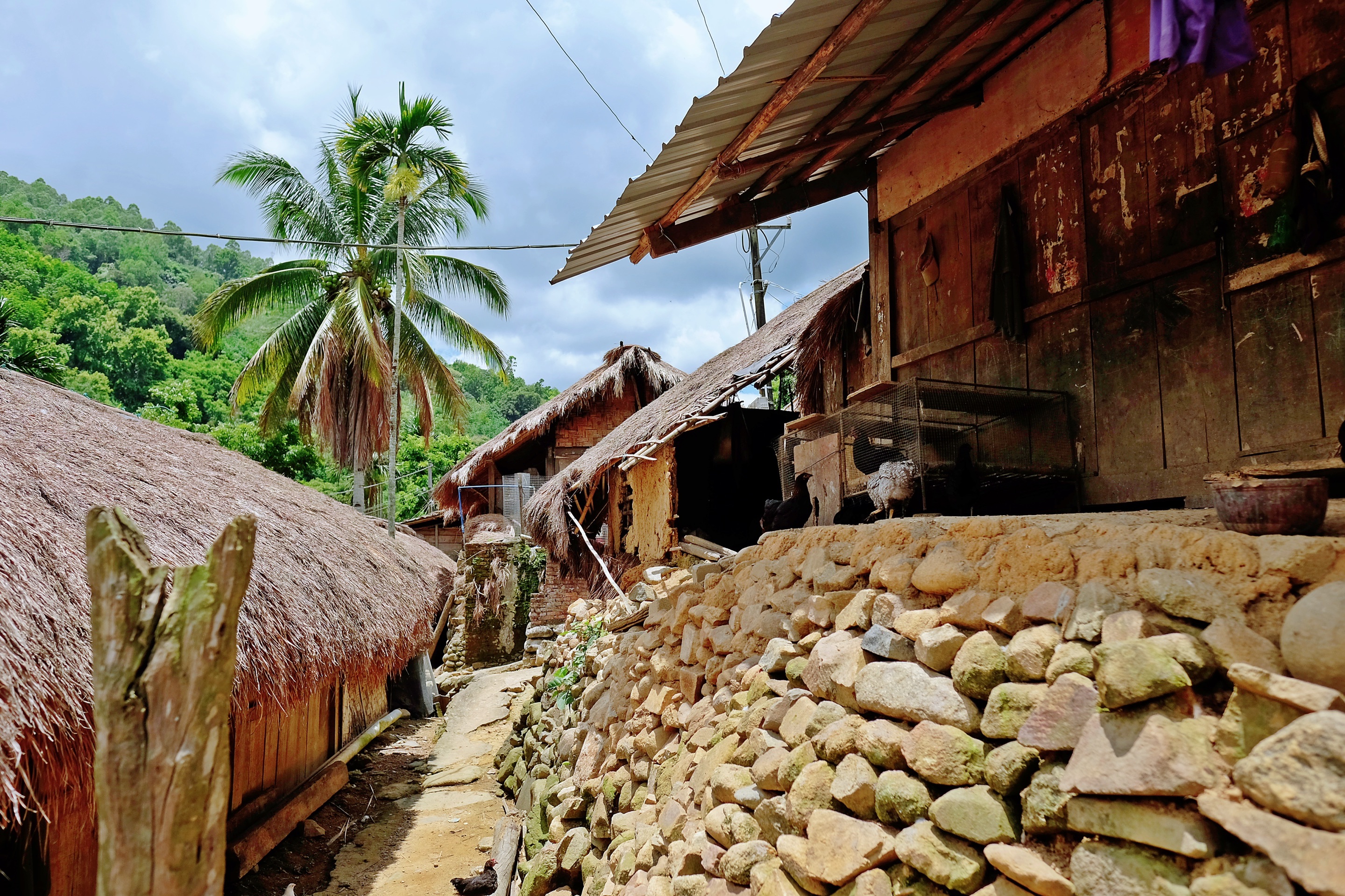 五指山初保村攻略 五指山初保村门票 地址 五指山初保村景点攻略 马蜂窝