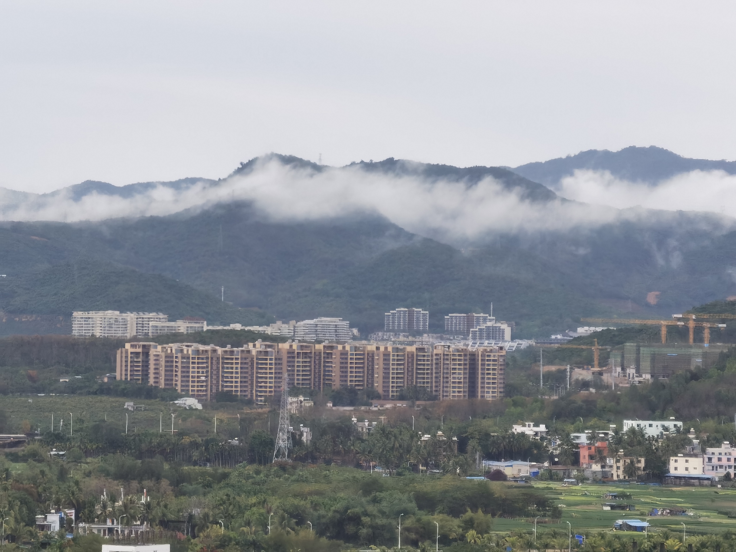 吉阳区南丁常年蔬菜基地