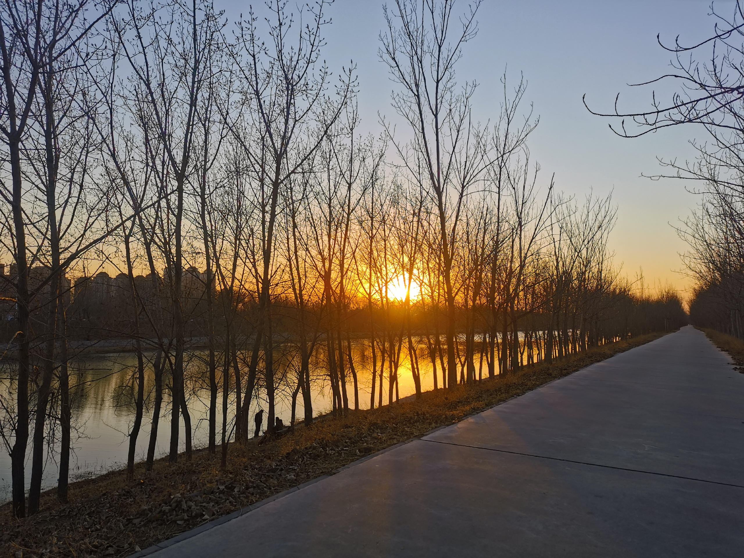 子牙河堤岸公园