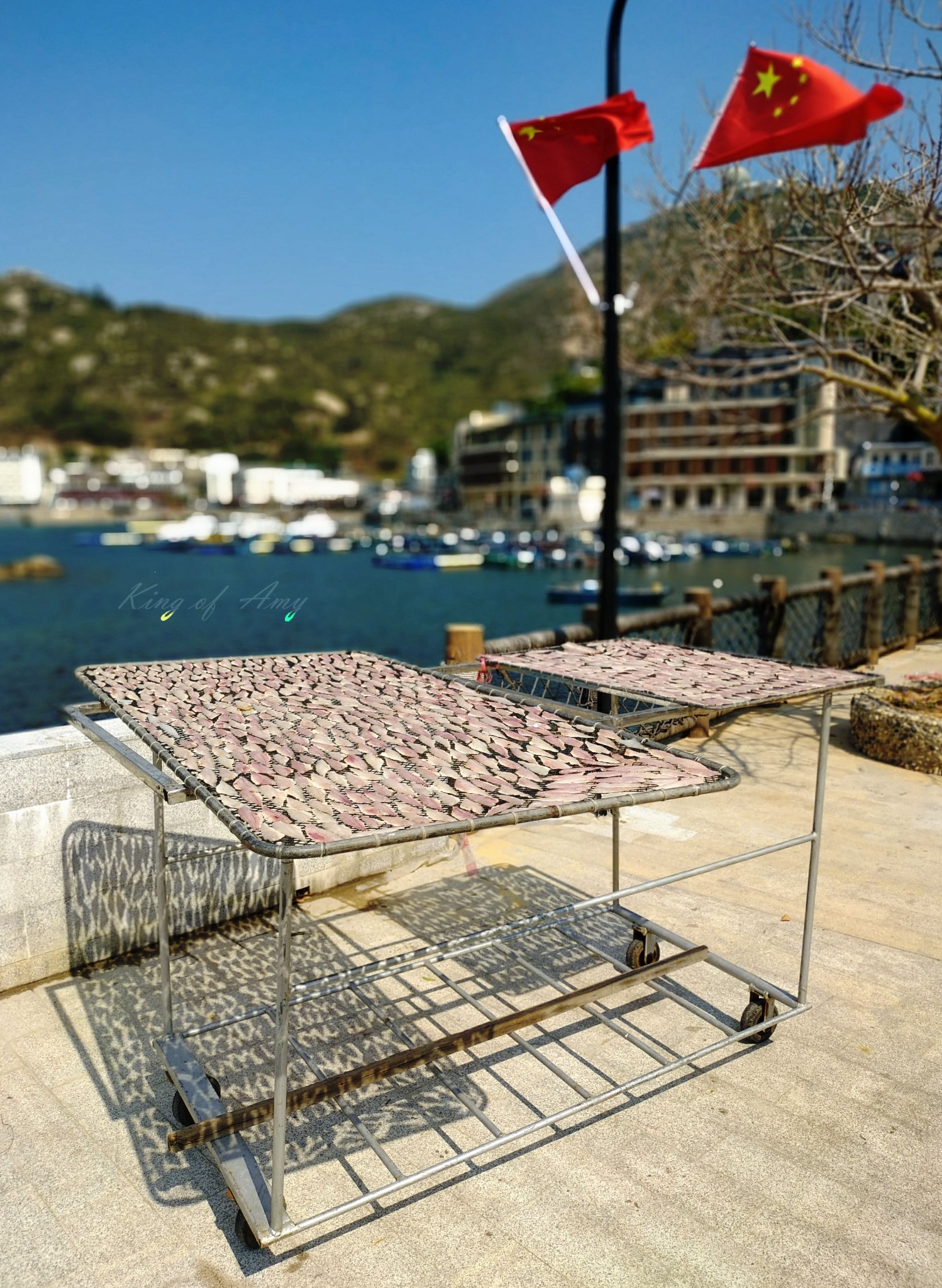 珠海万山岛:唯美食和环岛不可负