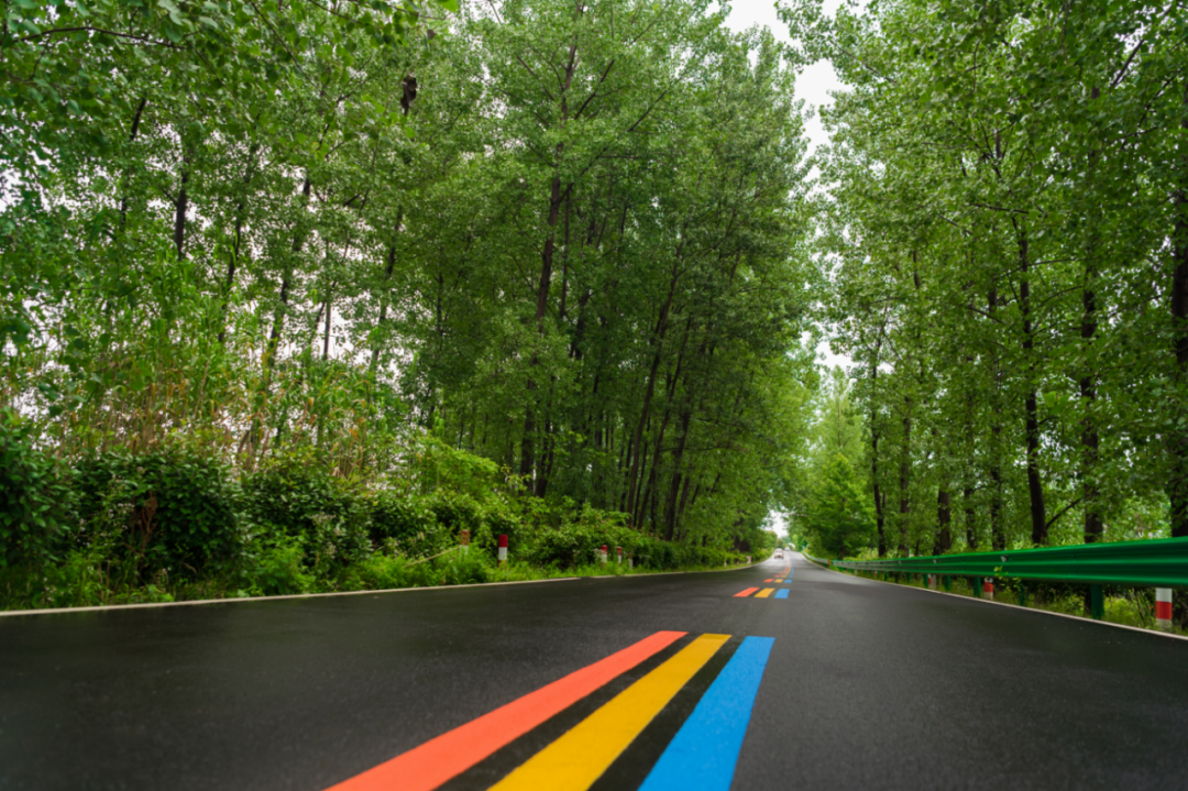 春游江淮请您来滁州天长有条网红公路