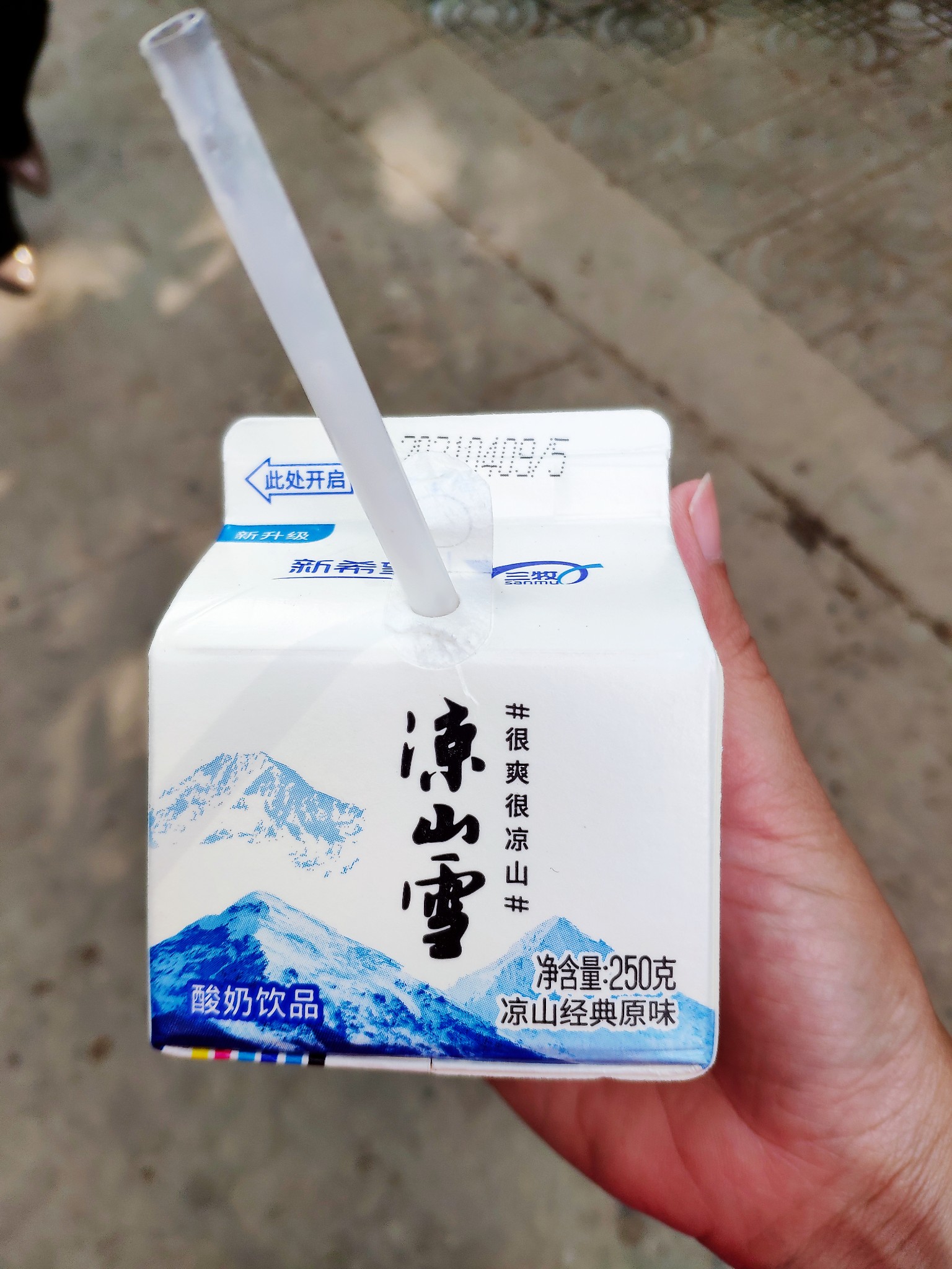 西昌的醉虾,烧烤,牛羊杂粉,卷粉,凉粉,樱桃,凉山雪酸奶都让我念念不忘