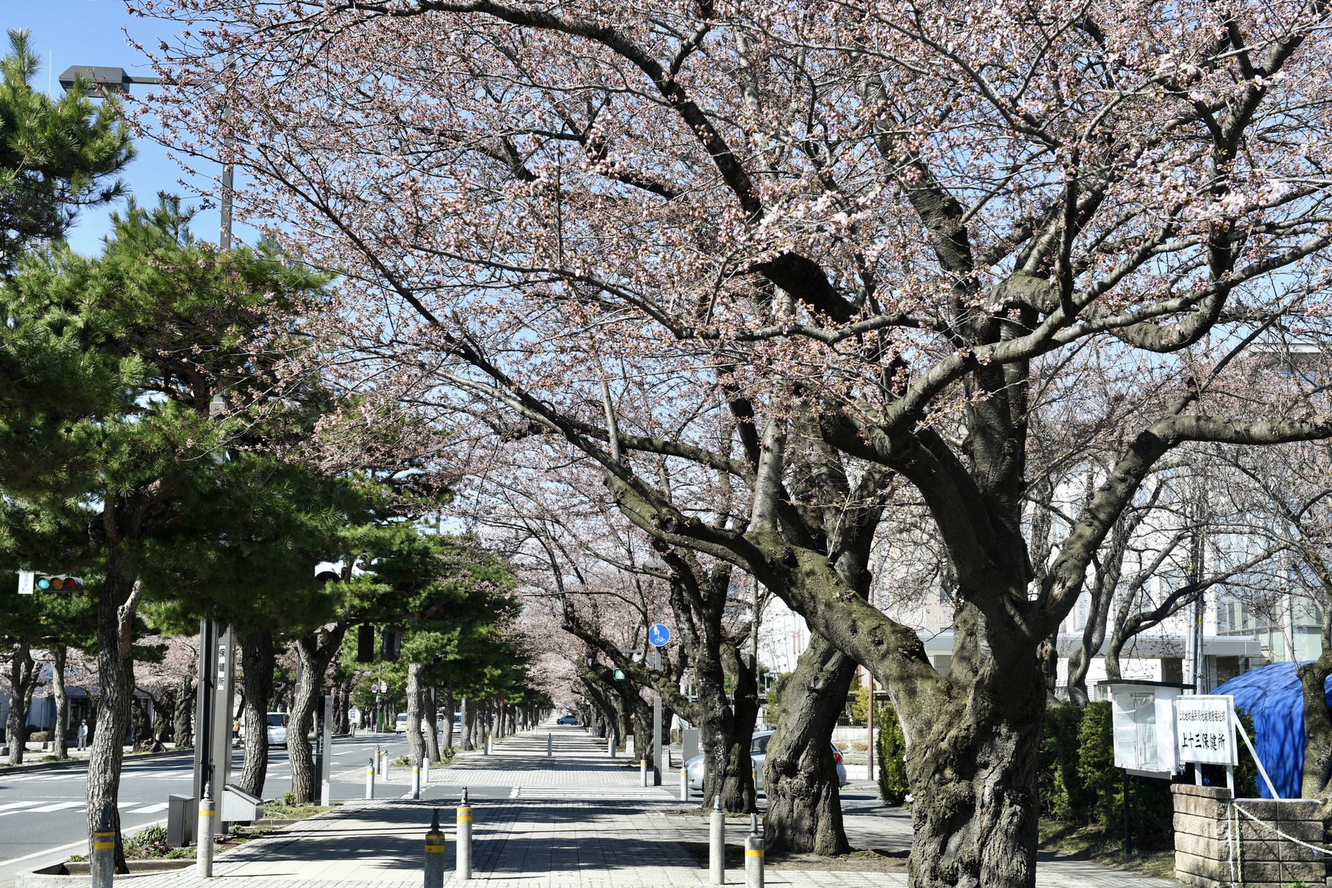 日本自助遊攻略