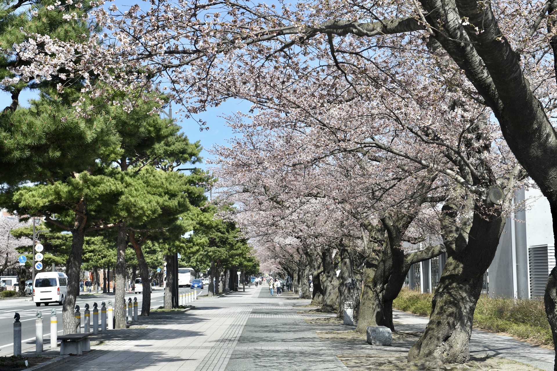 日本自助遊攻略