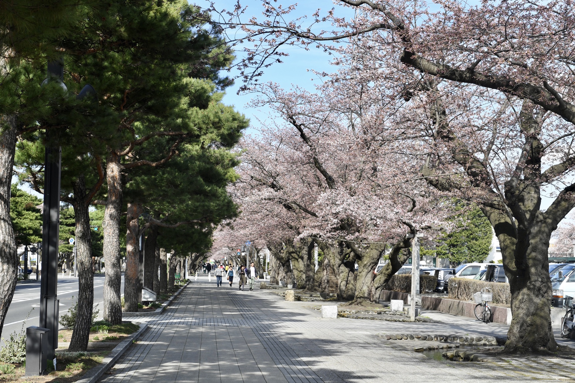 日本自助遊攻略