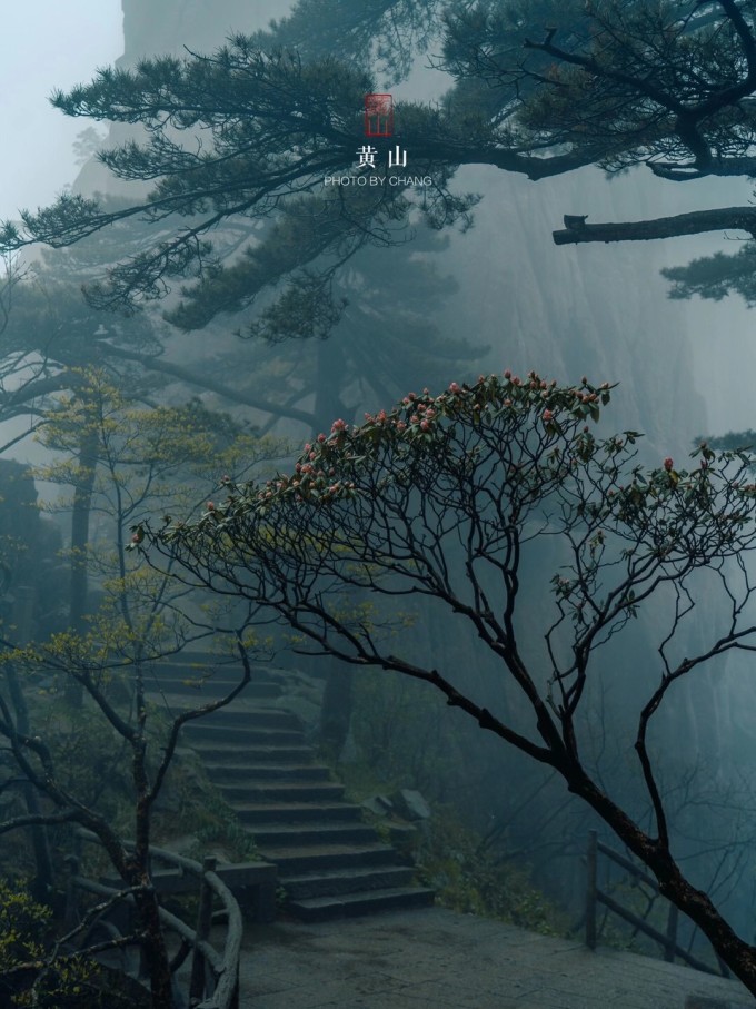 爬黄山的正确姿势 1 CoUBYGCb5 GAI1gBAAXuu1hlM1420