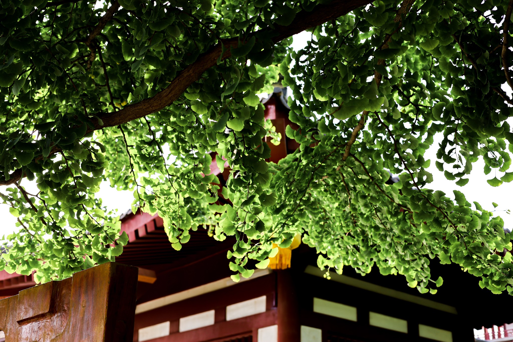大唐芙蓉园