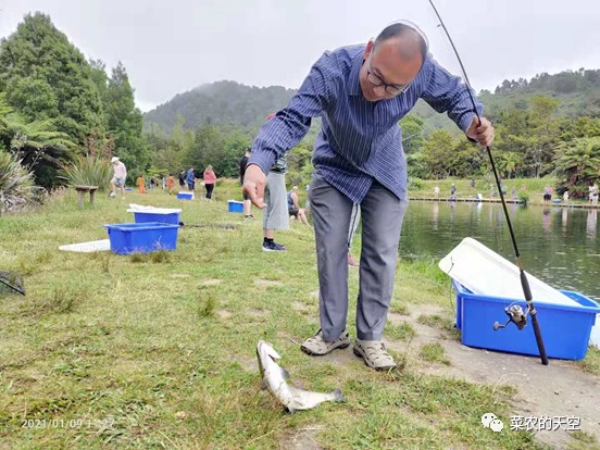 新西蘭自助遊攻略