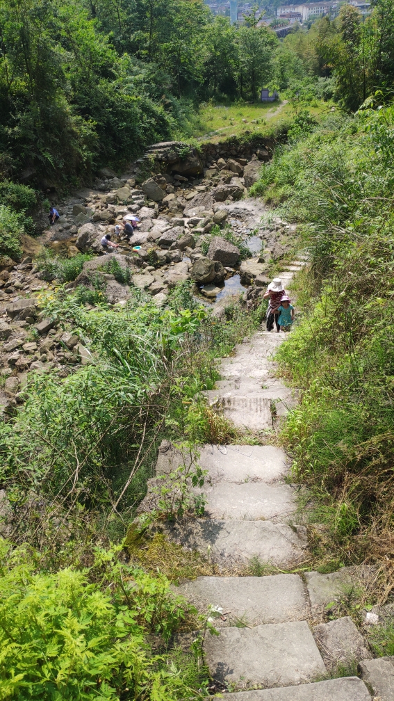 彭州小魚洞適合帶狗進去耍水需要注意什麼呢