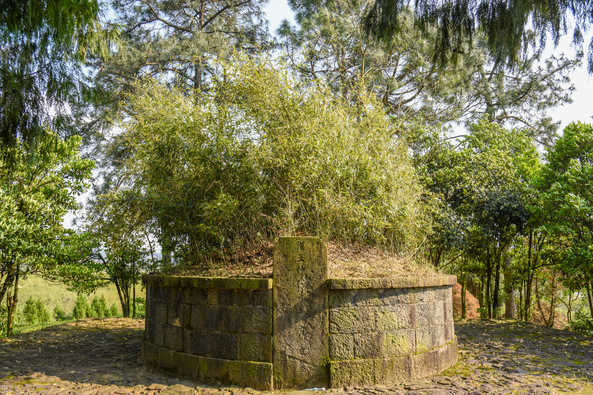 上虞王充墓省保古墓之谜浙江绍兴市上虞区章镇林岙村