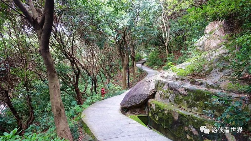 唯有熱愛可抵歲月漫長深圳小眾公園石鼓山