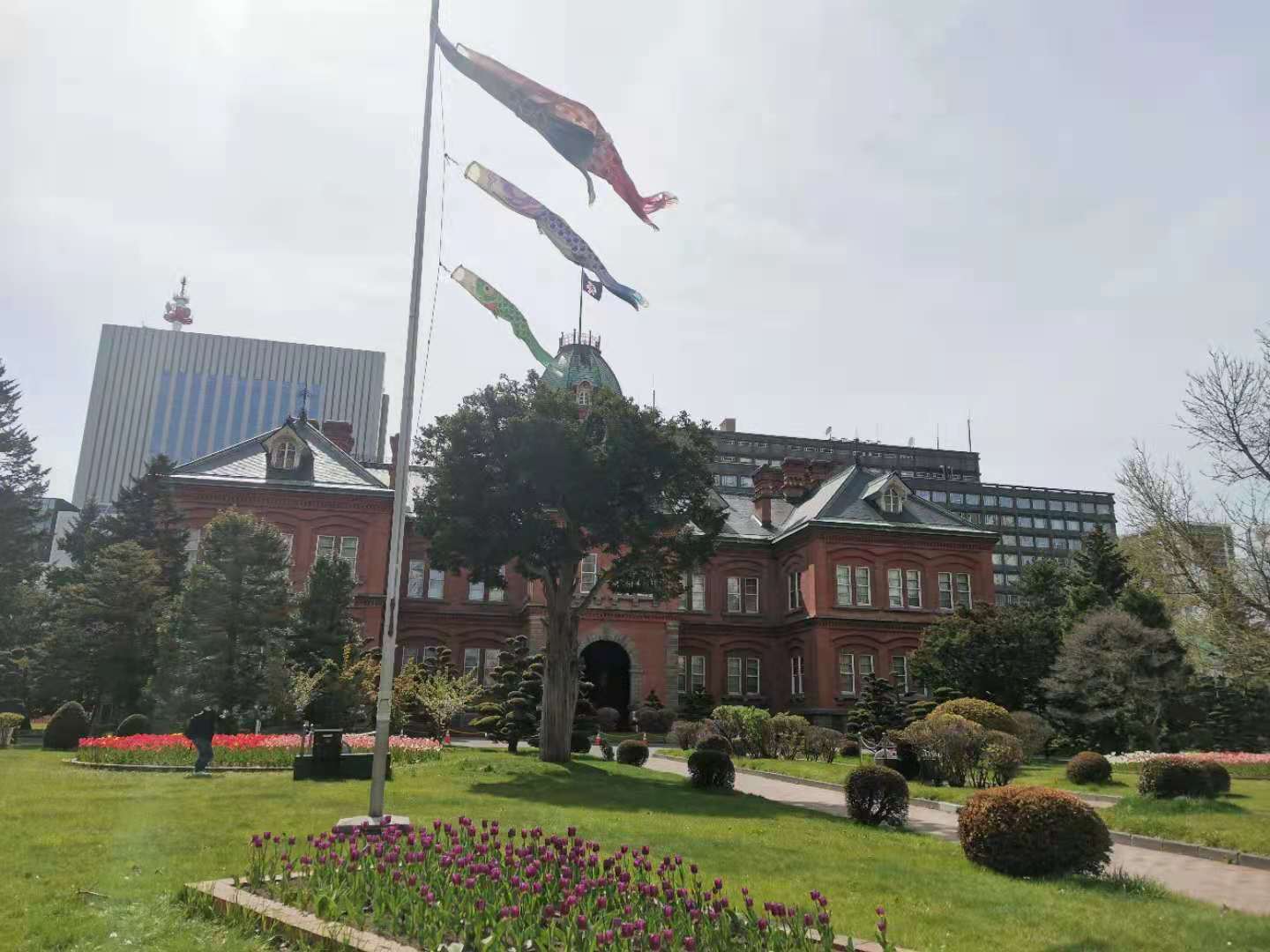 5月来北海道旅游 别人不会轻易告诉你的这些事儿 手机马蜂窝