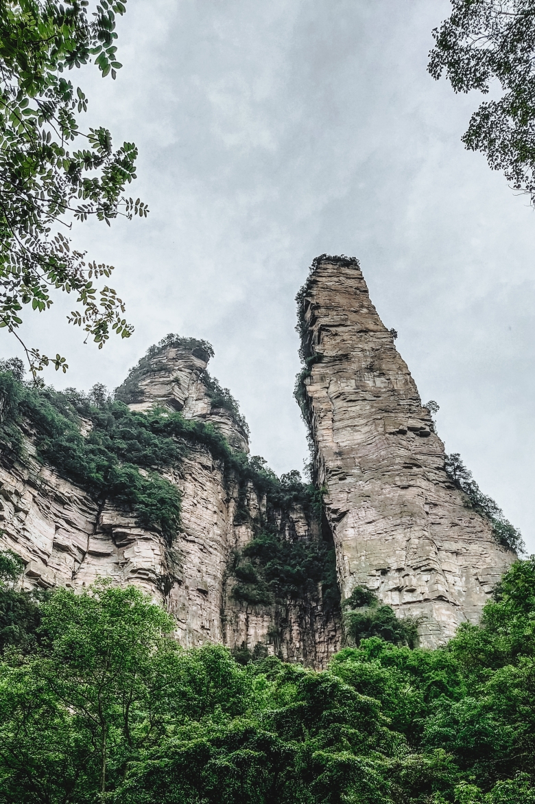 張家界國家森林公園·金鞭溪張家界國家森林公園·插曲張家界國家森林