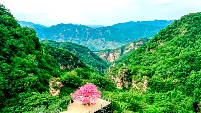 北京出发河北绿溪谷南天丽景一日游网红打卡绿溪南天粉红沙滩千亩花海