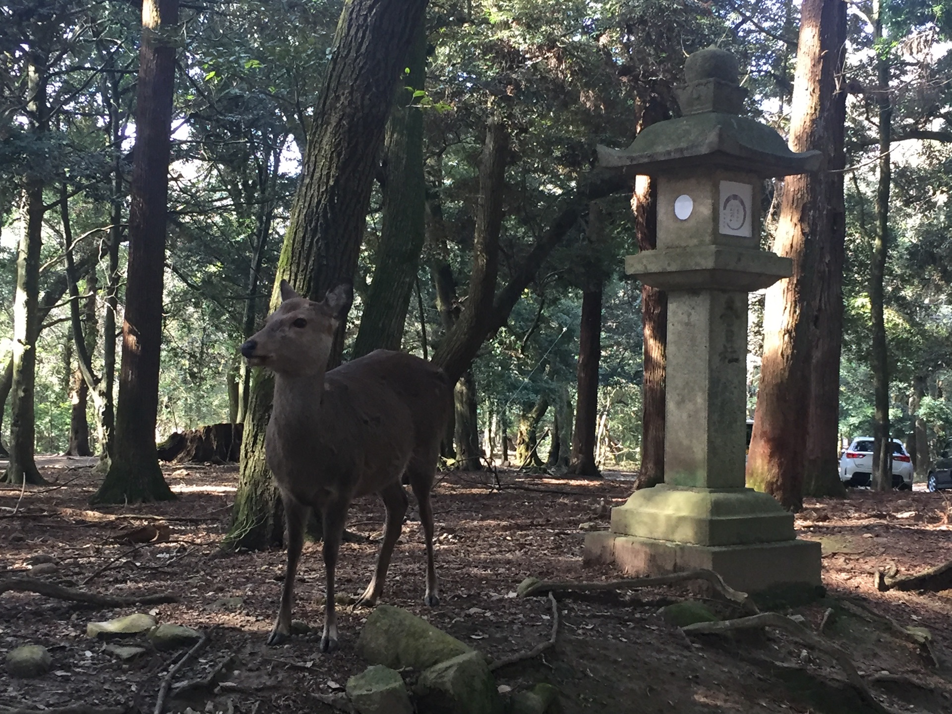 日本自助遊攻略