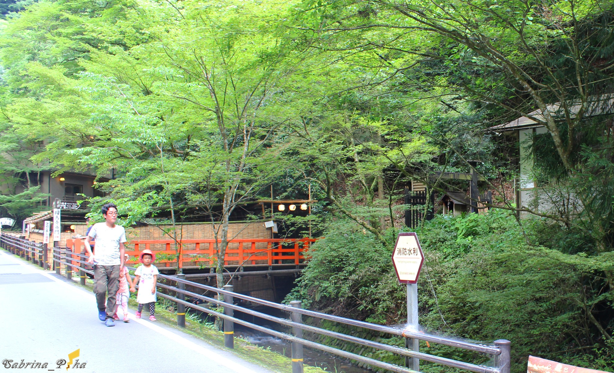 京都自助遊攻略