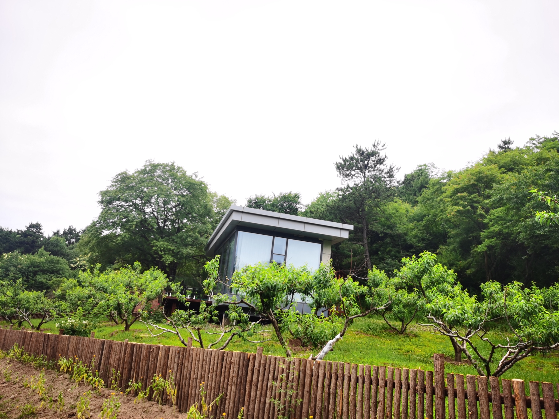 來旬邑鹿野苑,尋找一個22℃的夏天,陝西自助遊攻略 - 馬蜂窩