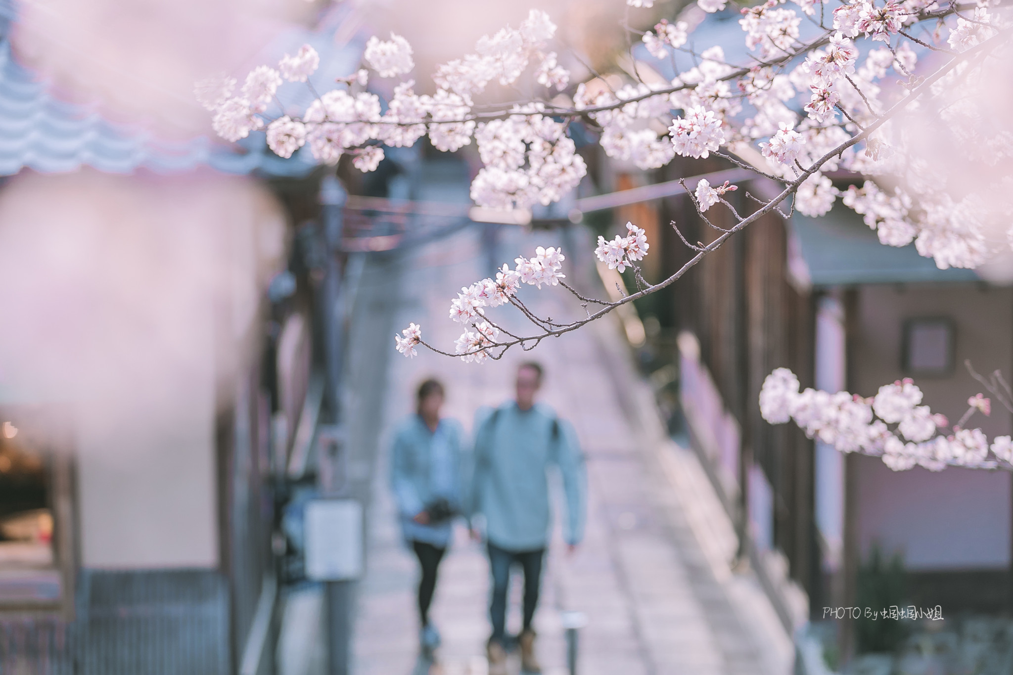 京都自助遊攻略