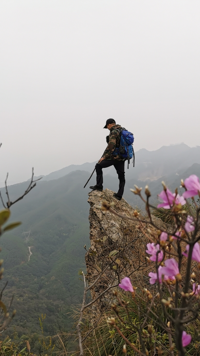 三水西平岭，三水第一高峰，2021赏杜鹃。