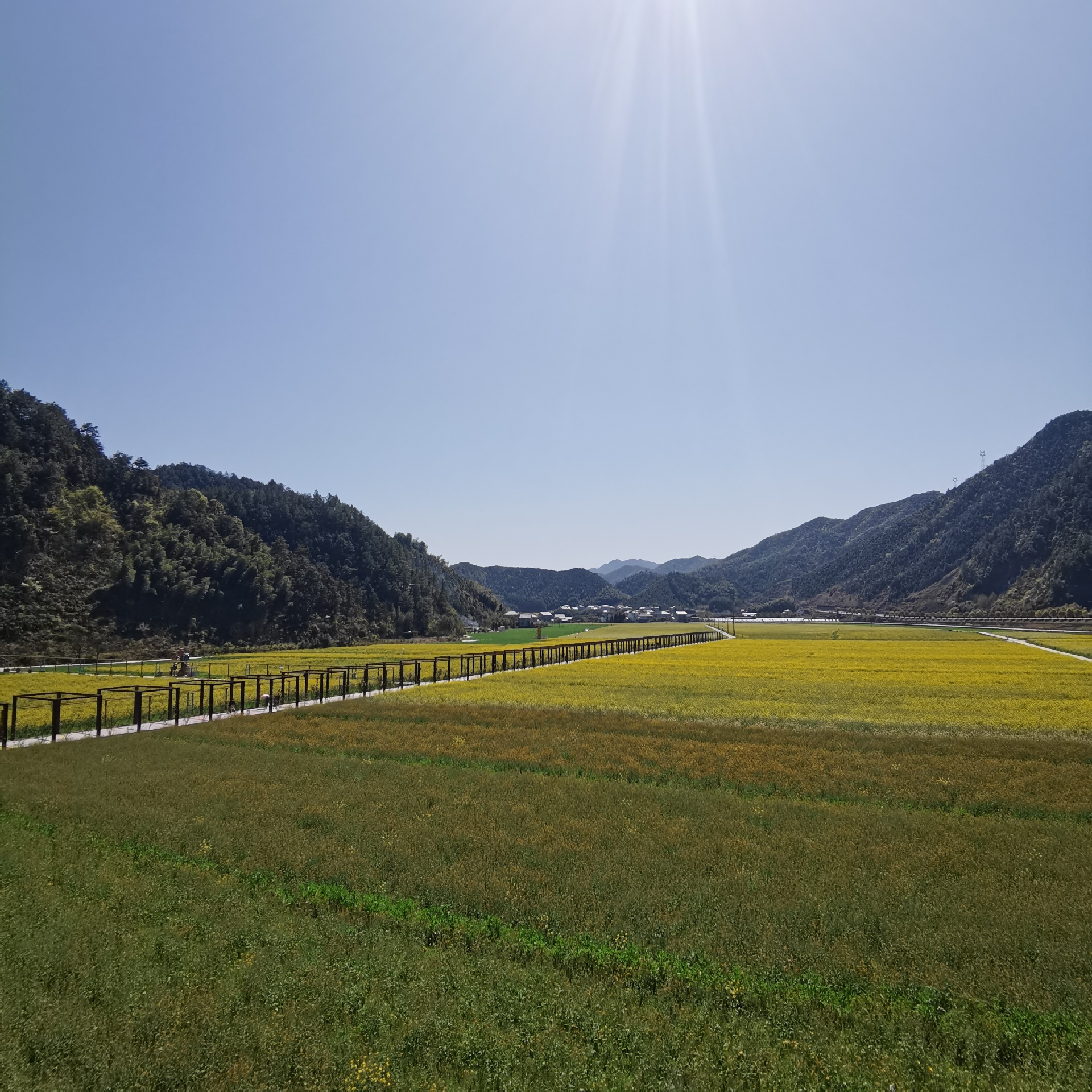 横村镇阳山畈村农家乐